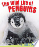 The Wild Life of Penguins cover