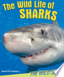 The Wild Life of Sharks cover