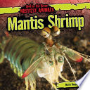 Mantis Shrimp cover