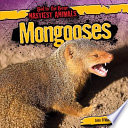 Mongooses cover