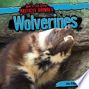 Wolverines cover