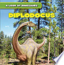 Diplodocus cover