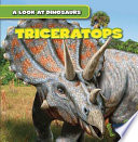 Triceratops cover