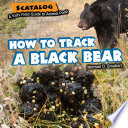 How to Track a Black Bear cover