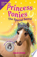 The Special Secret cover