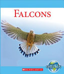 Falcons cover