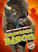 American Bison cover