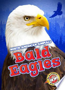 Bald Eagles cover