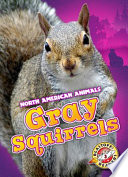 Gray Squirrels cover
