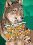 Gray Wolves cover