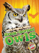 Great Horned Owls cover
