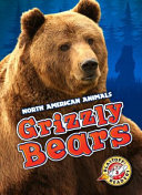 Grizzly Bears cover