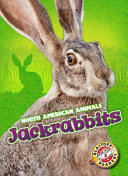 Jackrabbits cover