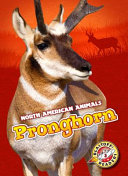 Pronghorn cover