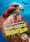 Red-Tailed Hawks cover