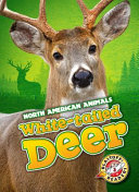 White-Tailed Deer cover