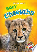Baby Cheetahs cover