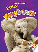 Baby Elephants cover