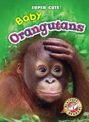 Baby Orangutans cover