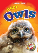 Baby Owls cover