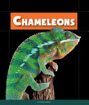 Chameleons (Animals of the Rain Forest) cover
