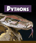 Pythons (Animals of the Rain Forest) cover