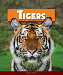 Tigers (Animals of the Rain Forest) cover