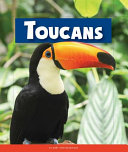 Toucans (Animals of the Rain Forest) cover