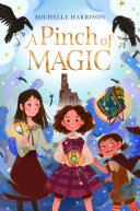 The Magic Book cover
