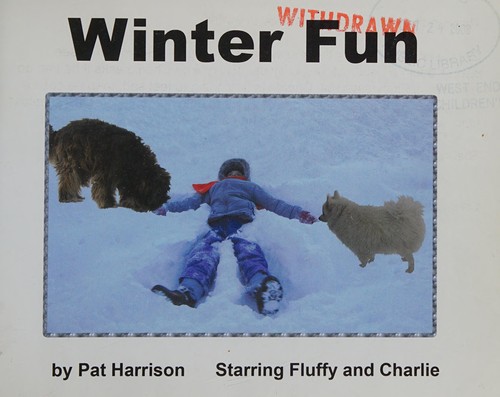 Winter Fun cover