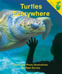 Turtles Everywhere cover