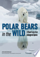 Polar Bears cover