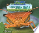 The Very Stinky Bug cover