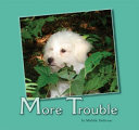 More Trouble cover