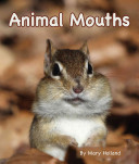 Animal Mouths cover