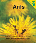 Ants cover