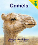 Camels cover