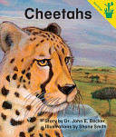 Cheetahs cover