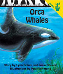 Orca Whales cover