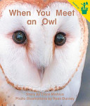 When You Meet an Owl cover