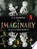 The Imaginary cover
