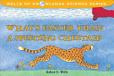 What's Faster Than a Speeding Cheetah? cover