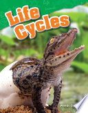 Life Cycles cover