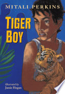 Tiger Boy cover