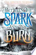 Between the Spark and the Burn cover