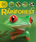 Rainforest: Discover Earth's Ecosystems cover