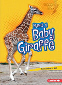 Meet a Baby Giraffe cover