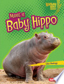 Meet a Baby Hippo cover
