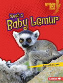 Meet a Baby Lemur cover