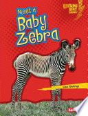 Meet a Baby Zebra cover